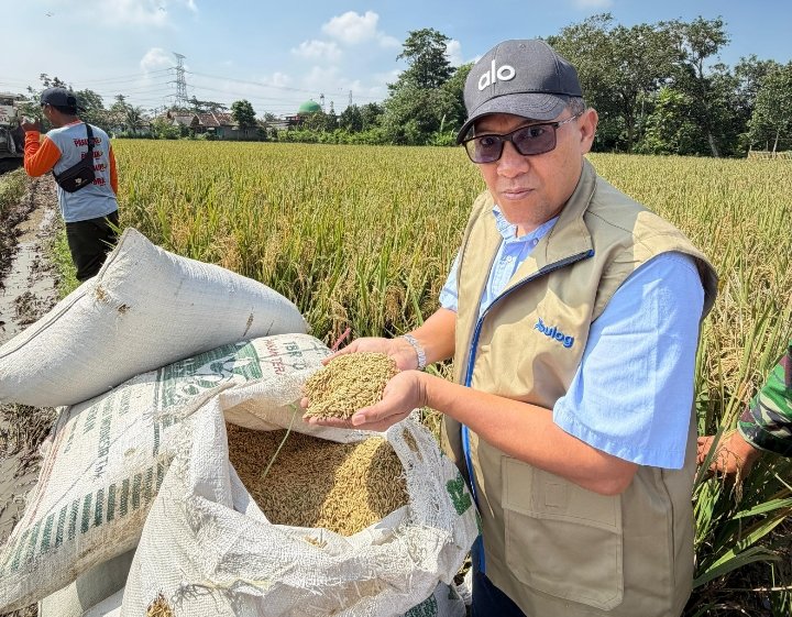 Subang Anti-Lapar! Stok Beras Aman Sampai 2026, Kemasan 2 Kg Segera Hadir di Pasar