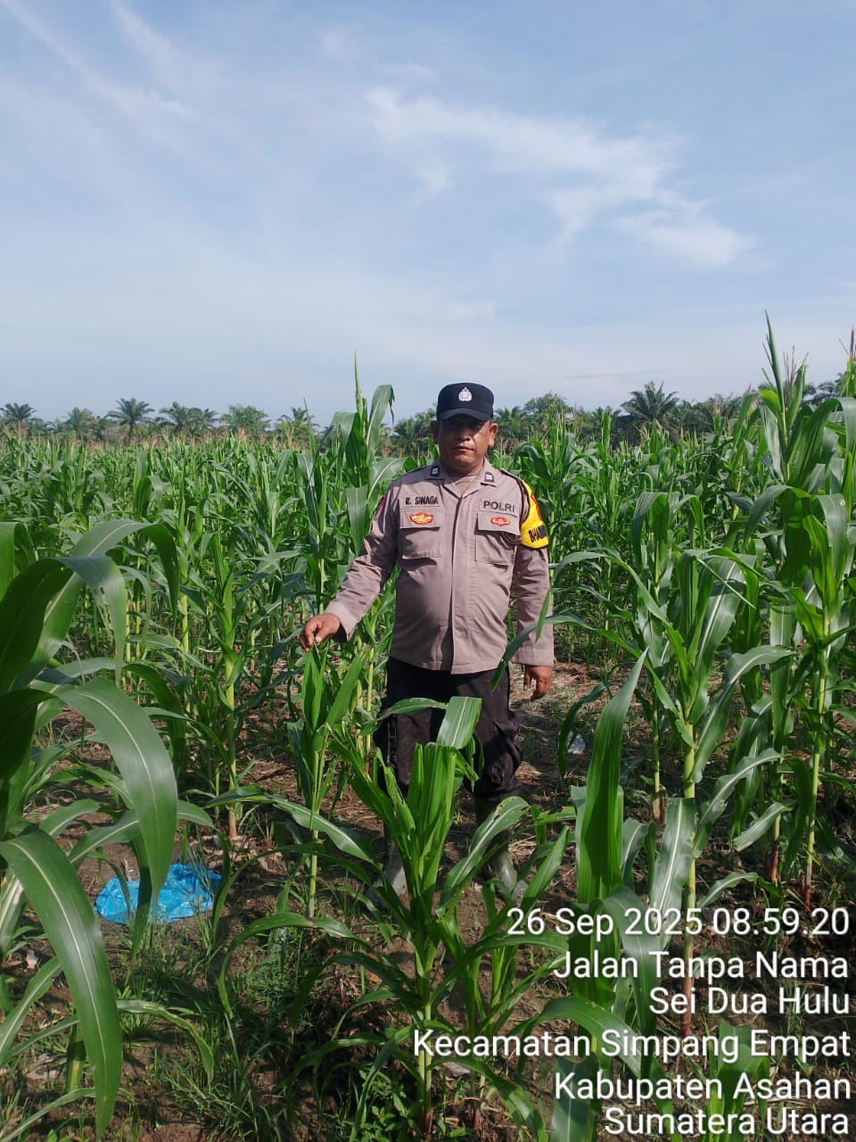 Bhabinkamtibmas Polsek Simpang Empat Lakukan Monitoring Program 1 Desa 1 Hektar di Desa Sei Dua Hulu